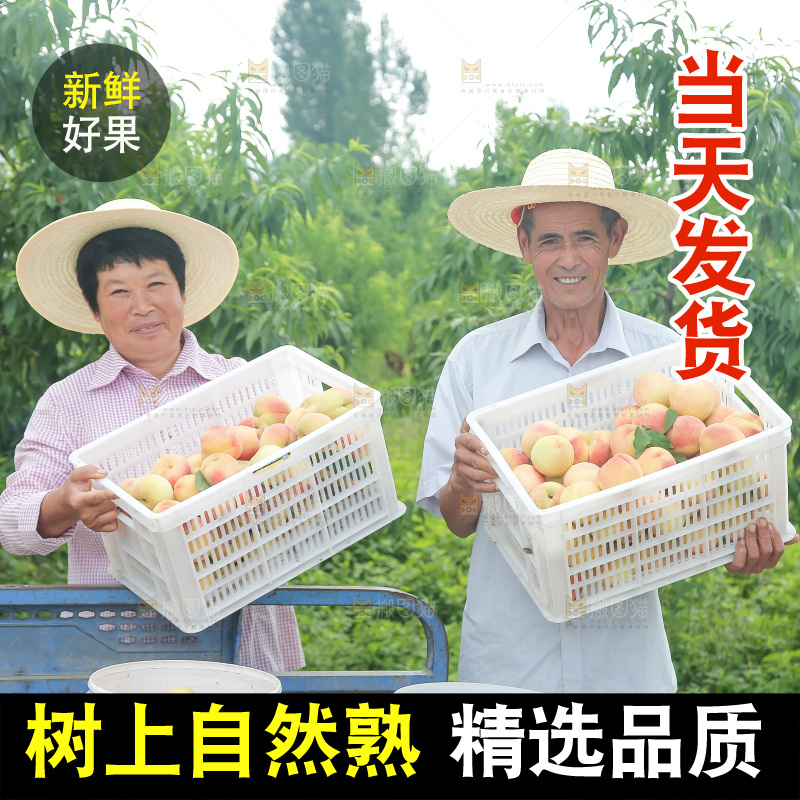 手里拿着现摘水蜜桃