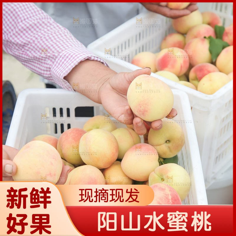手里拿着现摘水蜜桃