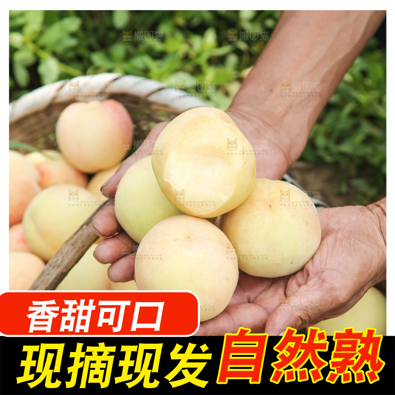 手里拿着现摘水蜜桃