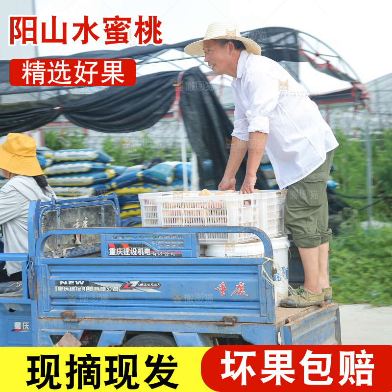手里拿着现摘水蜜桃