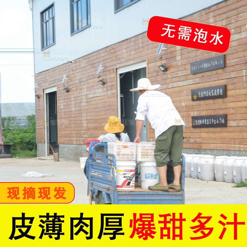 手里拿着现摘水蜜桃