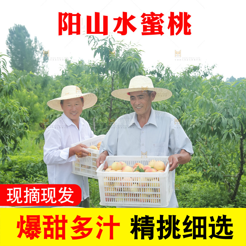 手里拿着现摘水蜜桃