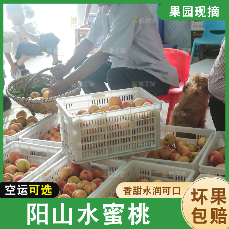 手里拿着现摘水蜜桃