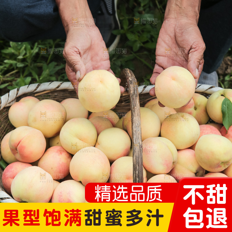 手里拿着现摘水蜜桃