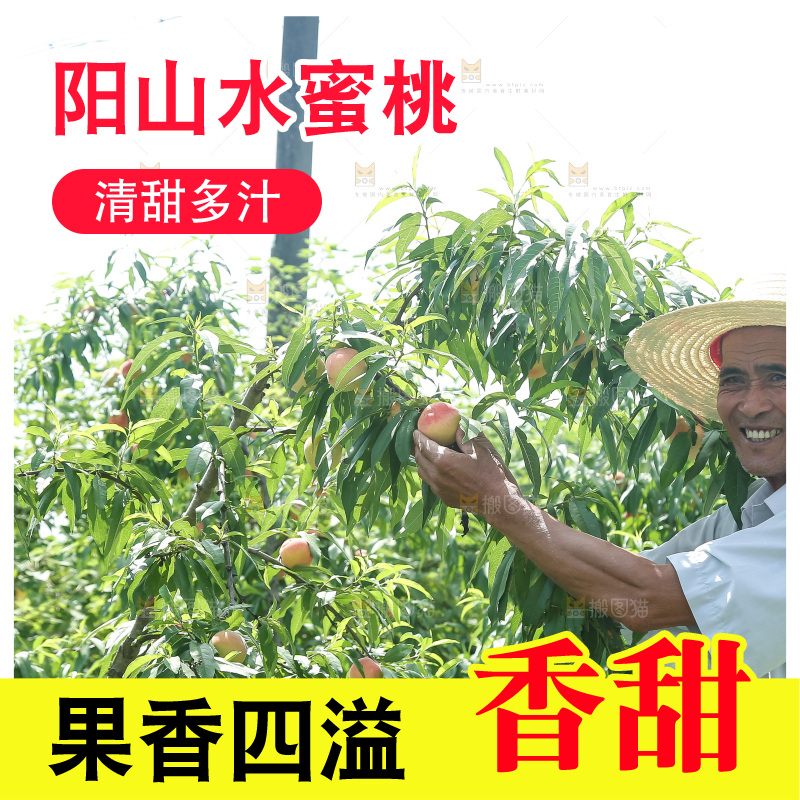 手里拿着现摘水蜜桃