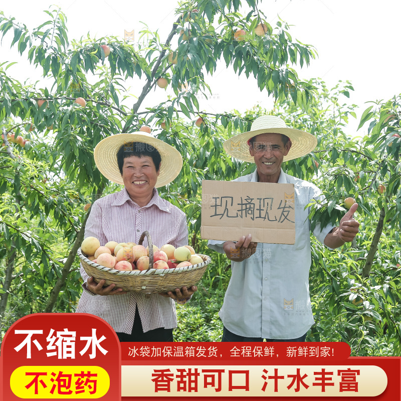 手里拿着现摘水蜜桃