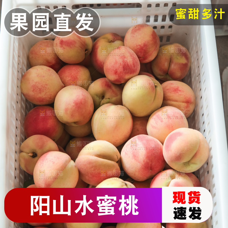 手里拿着现摘水蜜桃