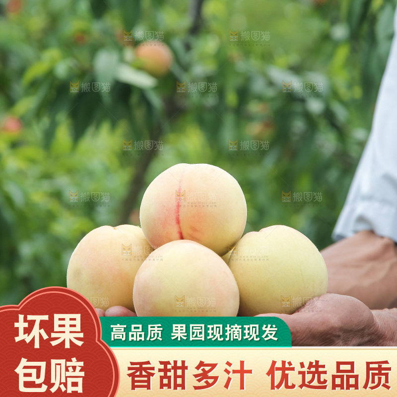 手里拿着现摘水蜜桃