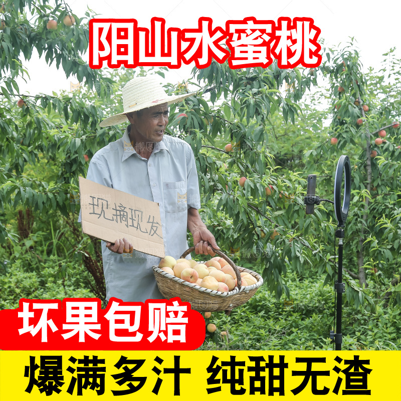 手里拿着现摘水蜜桃