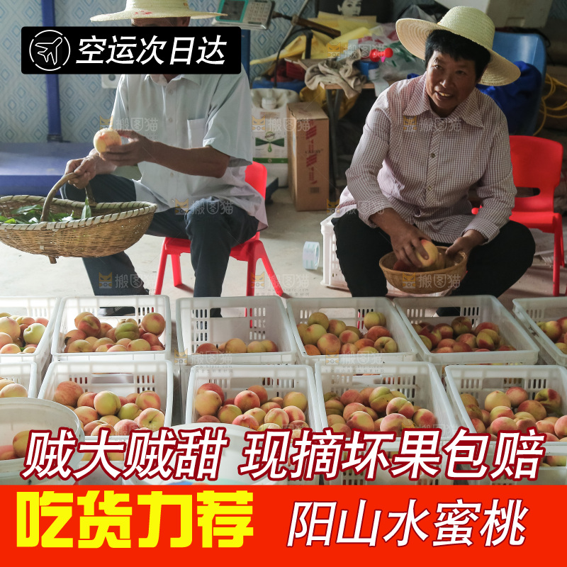 手里拿着现摘水蜜桃
