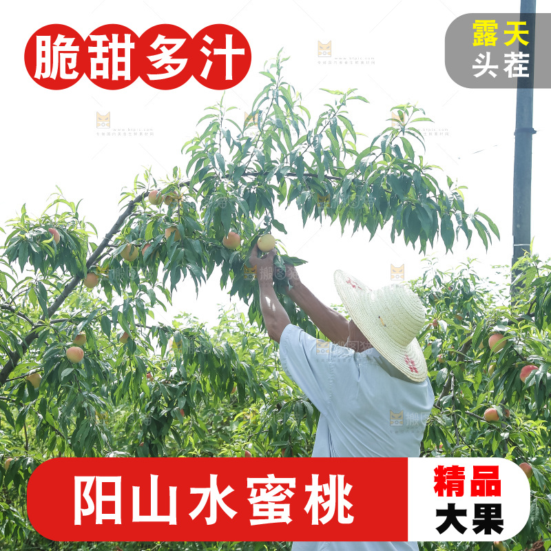 手里拿着现摘水蜜桃