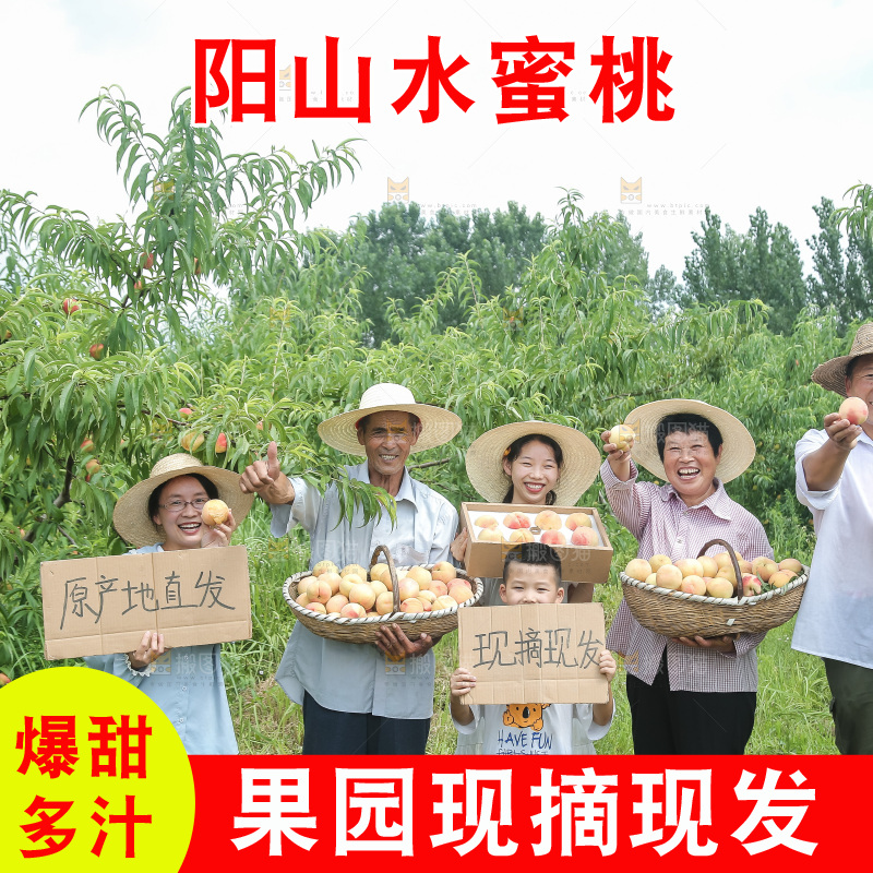 手里拿着现摘水蜜桃