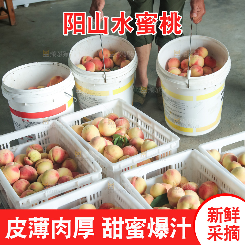 手里拿着现摘水蜜桃