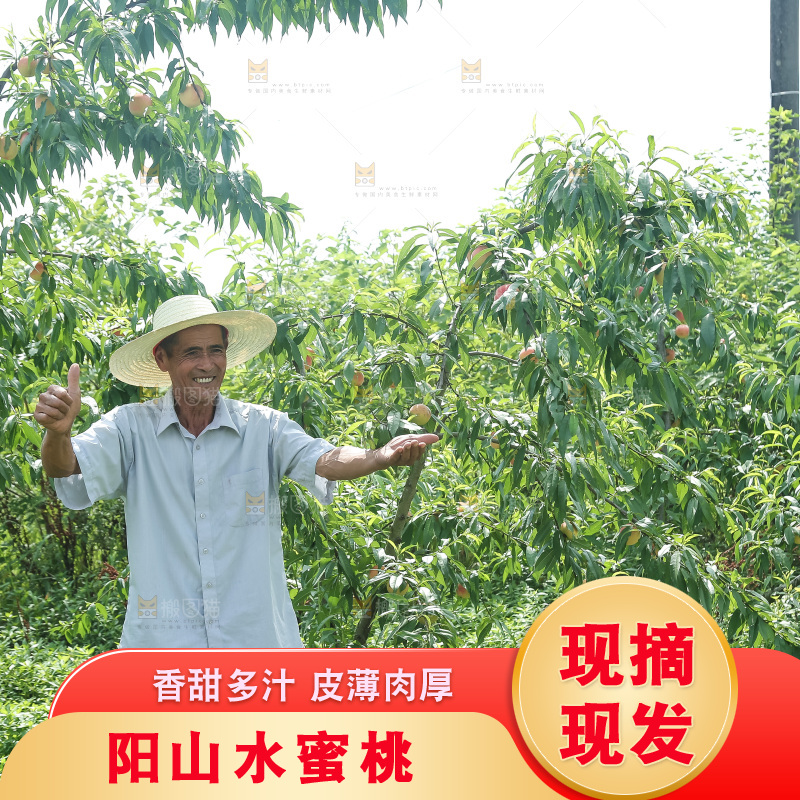 手里拿着现摘水蜜桃