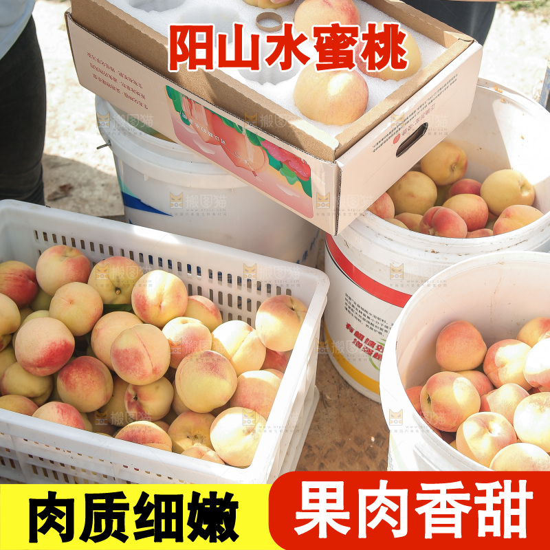 手里拿着现摘水蜜桃
