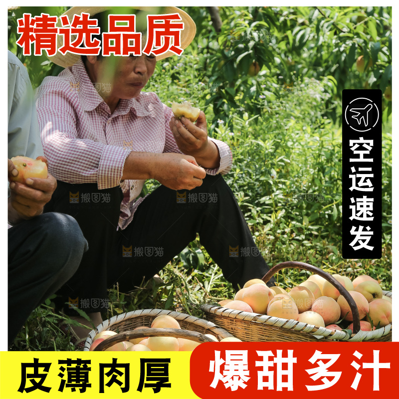 手里拿着现摘水蜜桃