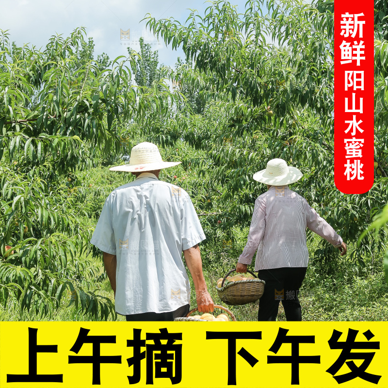 手里拿着现摘水蜜桃