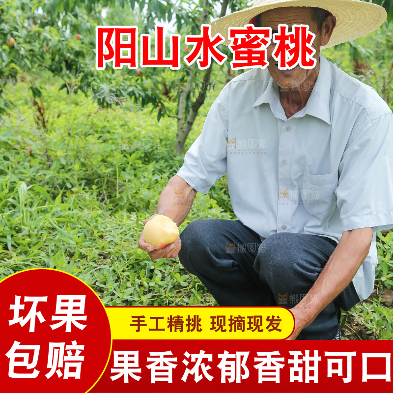 手里拿着现摘水蜜桃