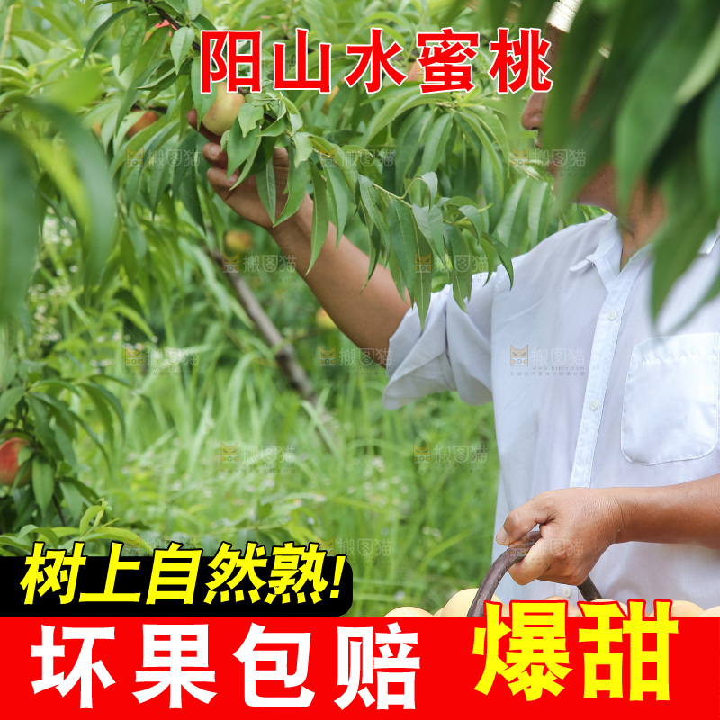 手里拿着现摘水蜜桃