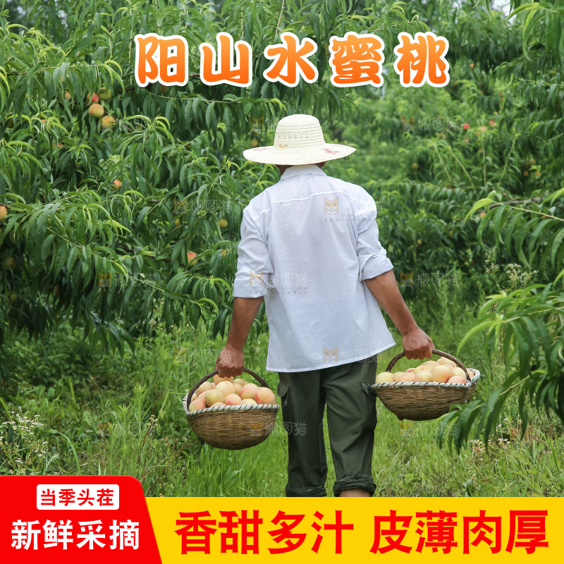手里拿着现摘水蜜桃