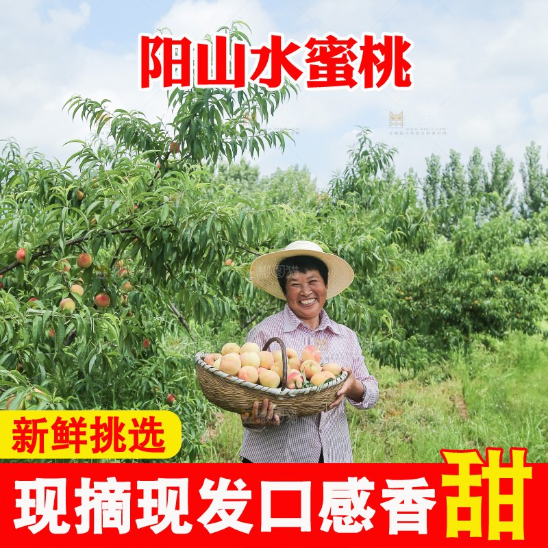 手里拿着现摘水蜜桃