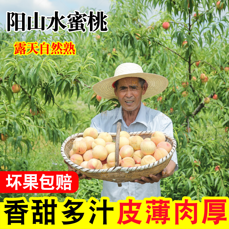 手里拿着现摘水蜜桃