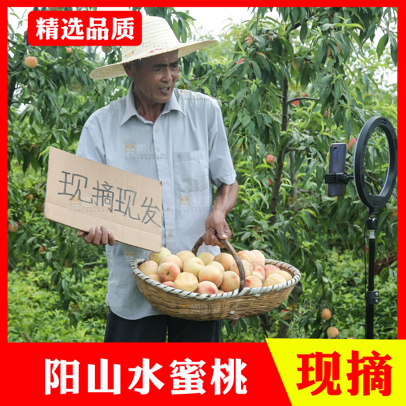 手里拿着现摘水蜜桃