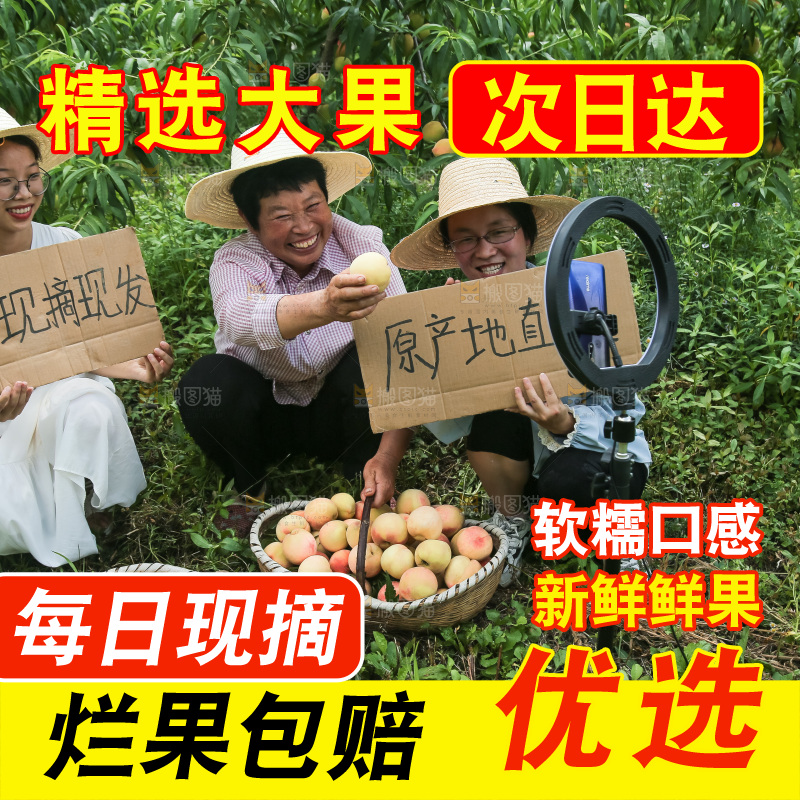 手里拿着现摘水蜜桃