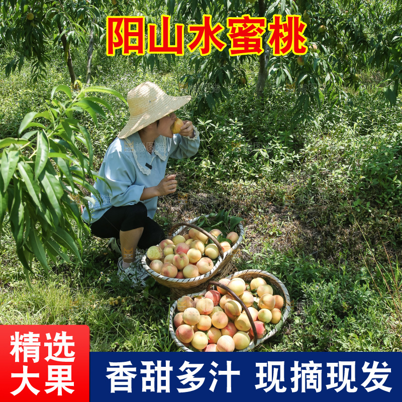 手里拿着现摘水蜜桃