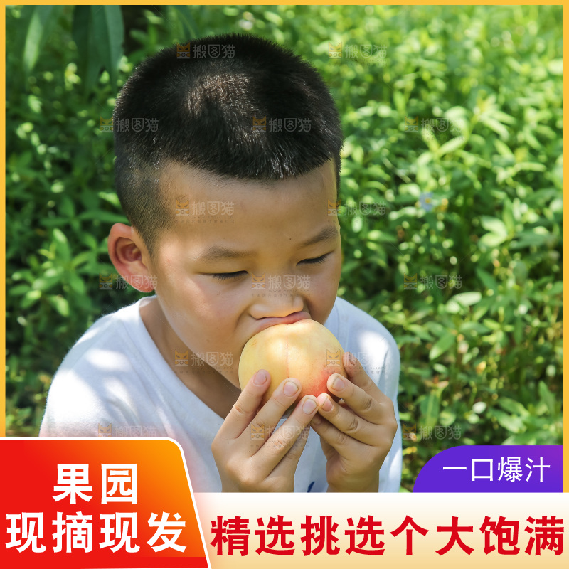 手里拿着现摘水蜜桃