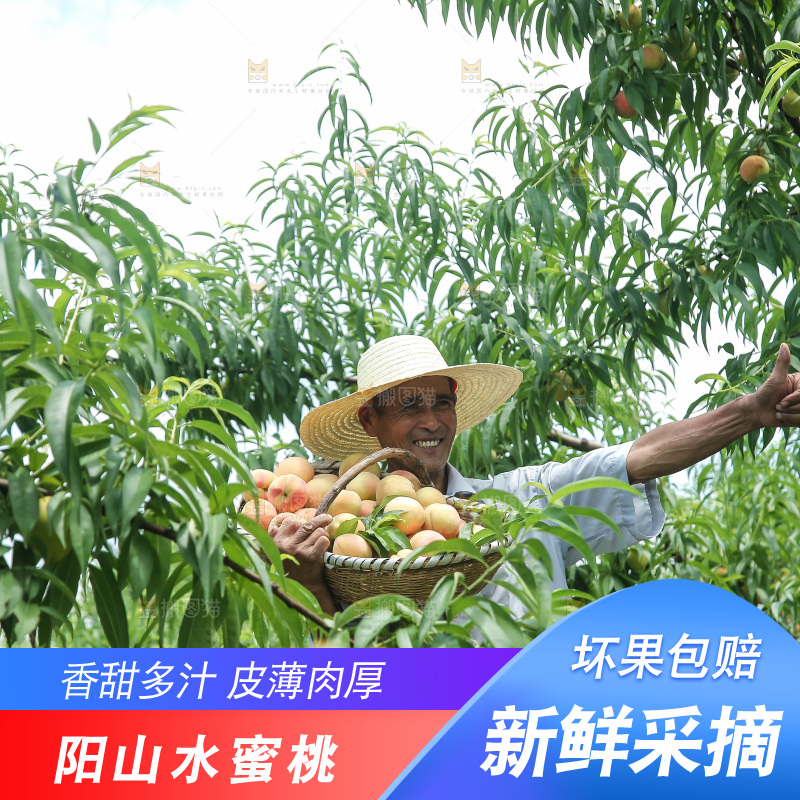 手里拿着现摘水蜜桃