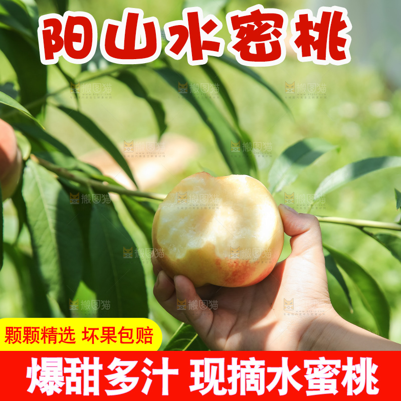 手里拿着现摘水蜜桃
