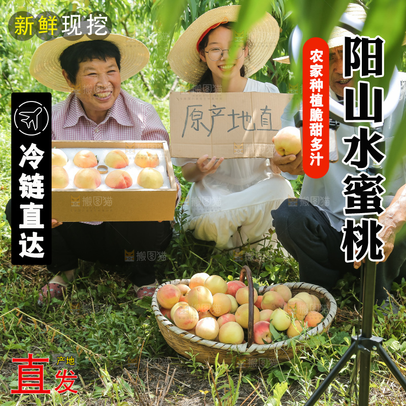 手里拿着现摘水蜜桃