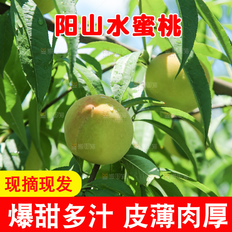 手里拿着现摘水蜜桃