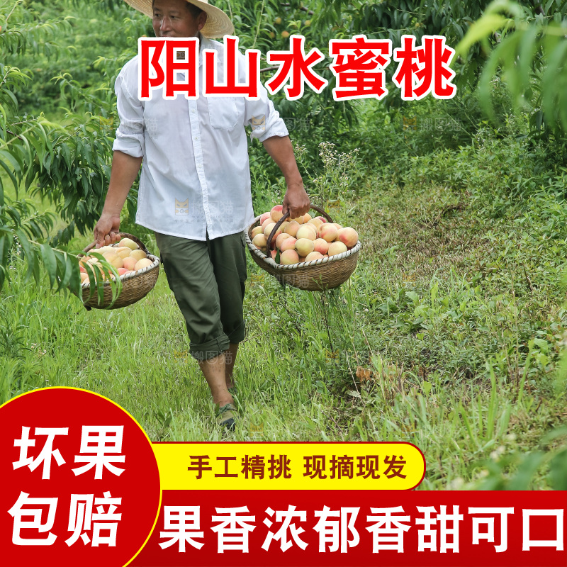 手里拿着现摘水蜜桃