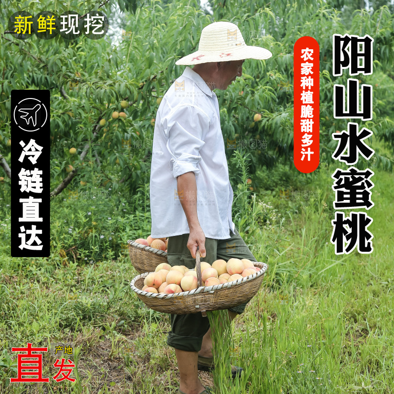 手里拿着现摘水蜜桃