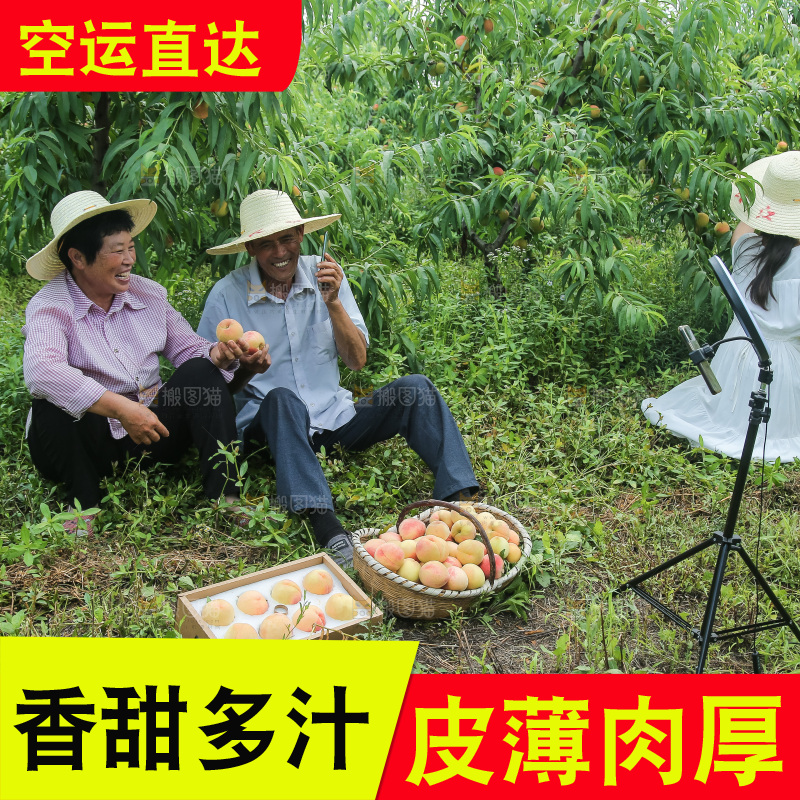 手里拿着现摘水蜜桃