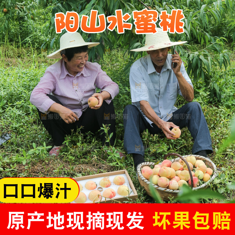 手里拿着现摘水蜜桃