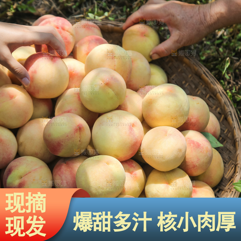 手里拿着现摘水蜜桃