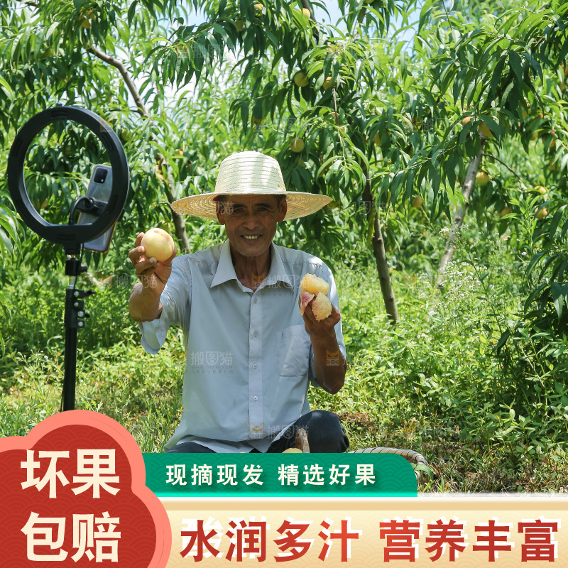 手里拿着现摘水蜜桃