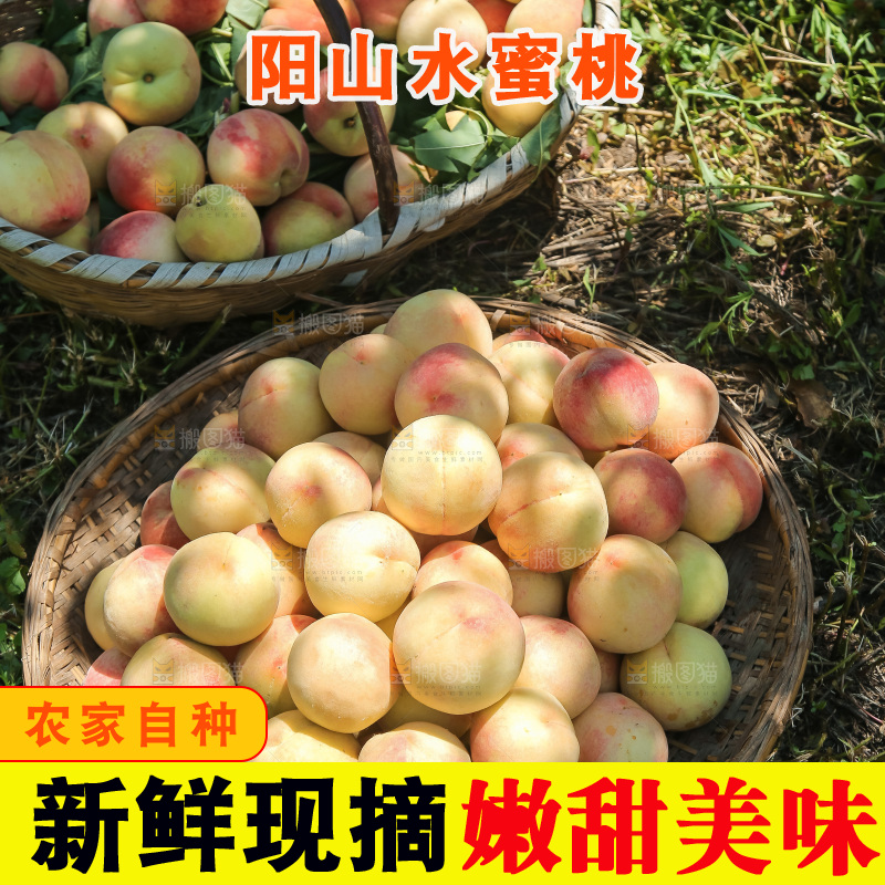 手里拿着现摘水蜜桃