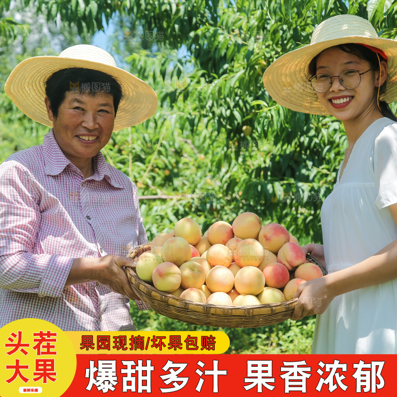 手里拿着现摘水蜜桃
