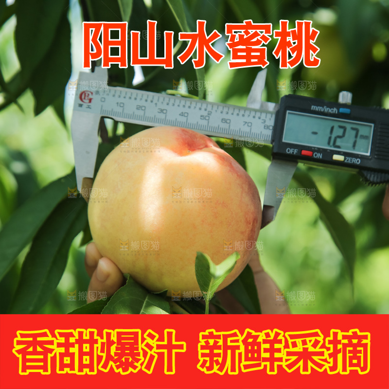 手里拿着现摘水蜜桃