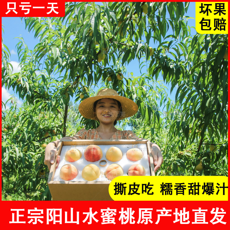 手里拿着现摘水蜜桃
