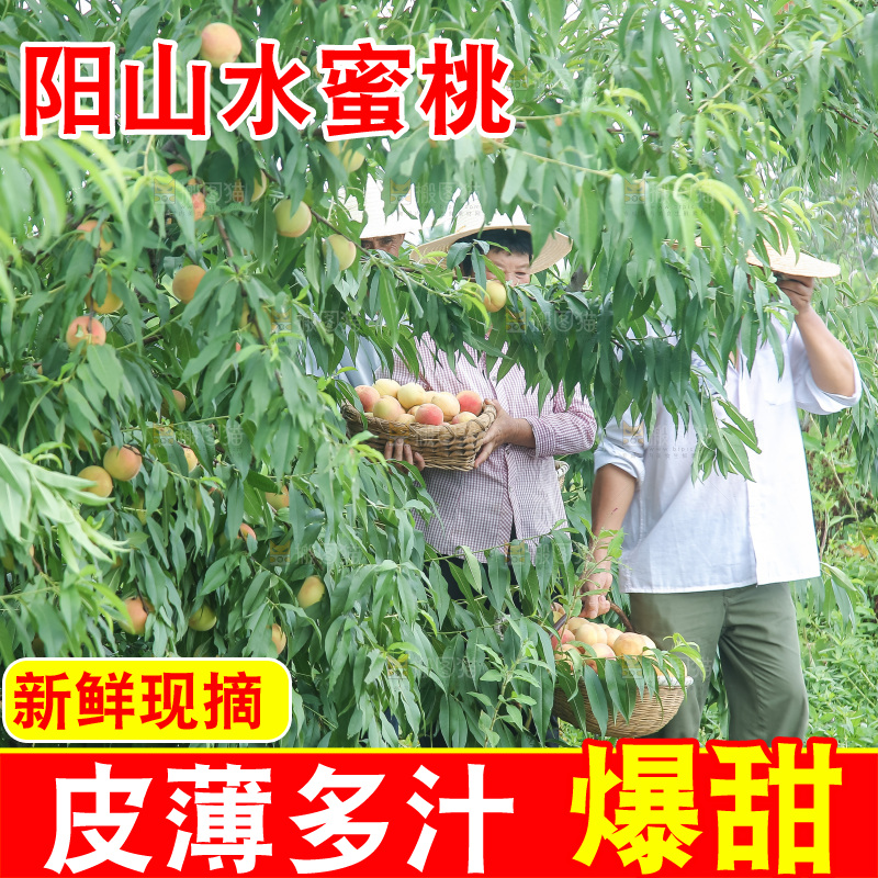 手里拿着现摘水蜜桃