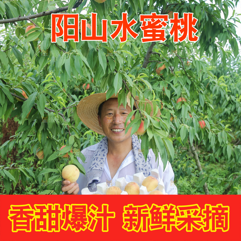手里拿着现摘水蜜桃