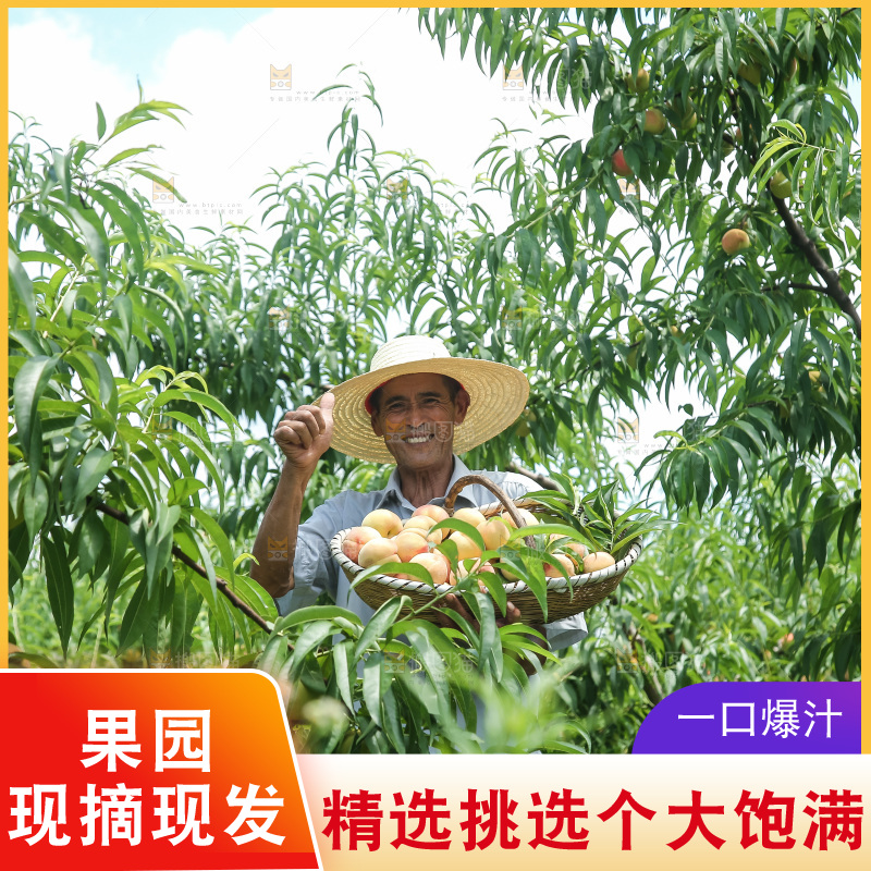 手里拿着现摘水蜜桃