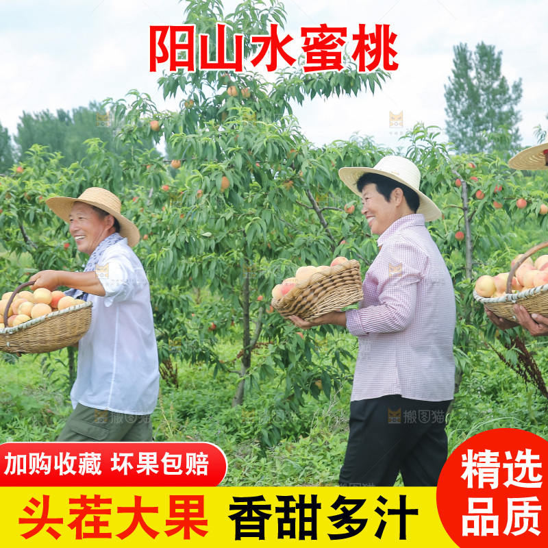 手里拿着现摘水蜜桃