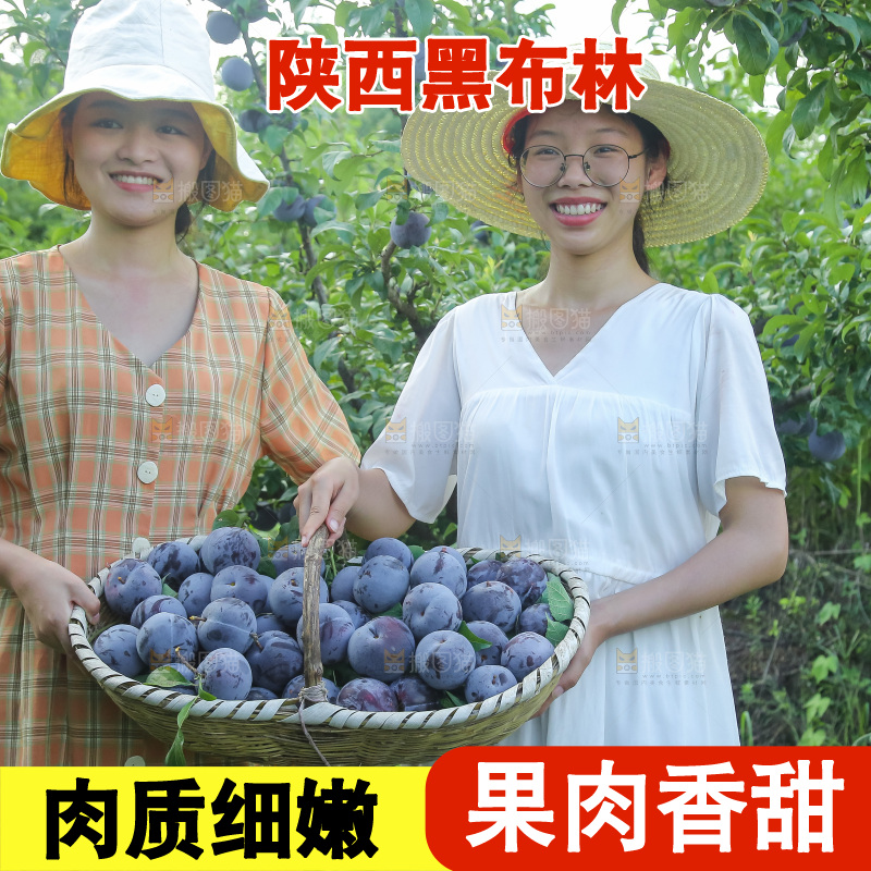 新鲜现摘黑布林