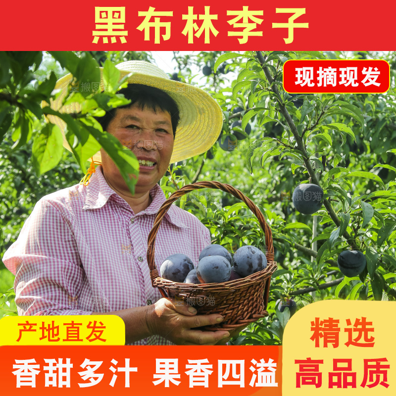 新鲜现摘黑布林